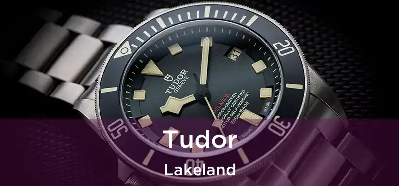 Tudor Lakeland